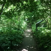 Photograph from The Hermitage Wildlife Garden archive