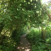 Photograph from The Hermitage Wildlife Garden archive