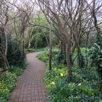 Photograph from The Hermitage Wildlife Garden archive